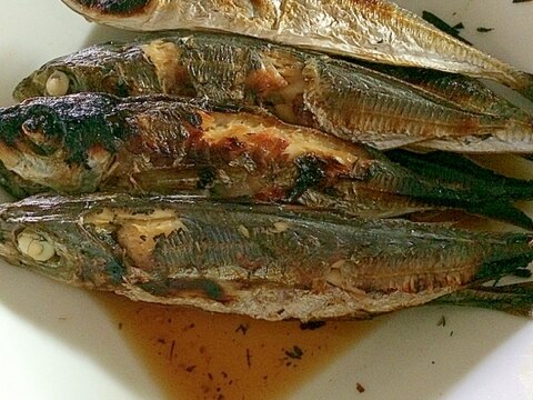 簡単&作り置きに☆焼き鯵の酢醤油漬け